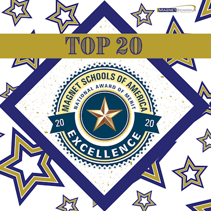Top 20 